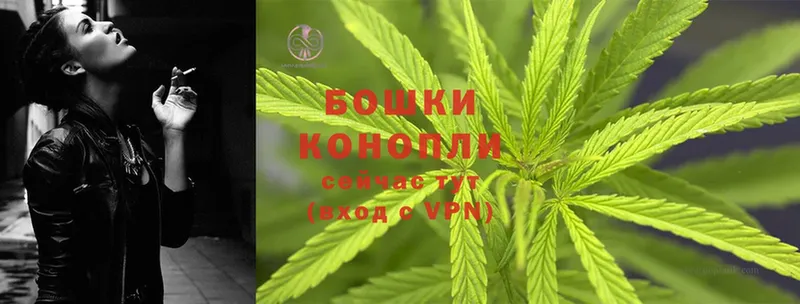 Бошки Шишки SATIVA & INDICA  KRAKEN зеркало  Иланский 